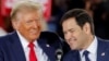 Marco Rubio (kanan) pilihan Donald Trump sebagai Menteri Luar Negeri AS akan mempersulit hubungan Amerika-China (foto: dok). 