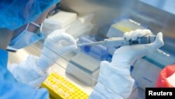 Un científico prepara muestras para el desarrollo de una vacuna contra el coronavirus, foto del 11 de junio de 2020. [Archivo]