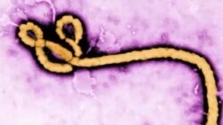 نخستین فرد مبتلا به ایبولا در آمریکا قرنطینه شد