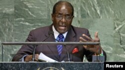 Sven Spichiger, Washington State Department of Agriculture managing entomologist, displays a canister of Asian giant hornets vacuumed from a nest in a tree behind him in Blaine, Oct. 24, 2020.