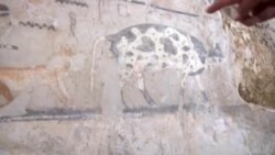 埃及发现4千多年历史的古墓