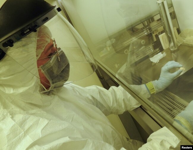 Scientist Elena Essel of the Max Planck Institute for Evolutionary Anthropology works in the institute’s clean laboratory in Leipzig, Germany on the pierced elk tooth discovered in the Denisova Cave in southern Siberia in this undated handout picture. (Max Planck Institute for Evolutionary Anthropology/Handout via REUTERS)