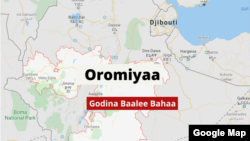 Godina Baalee Bahaatti Vaayirasiin Koroonaa Buufata Poolisiitti Hidhamtoota 50 Tahan Qabe