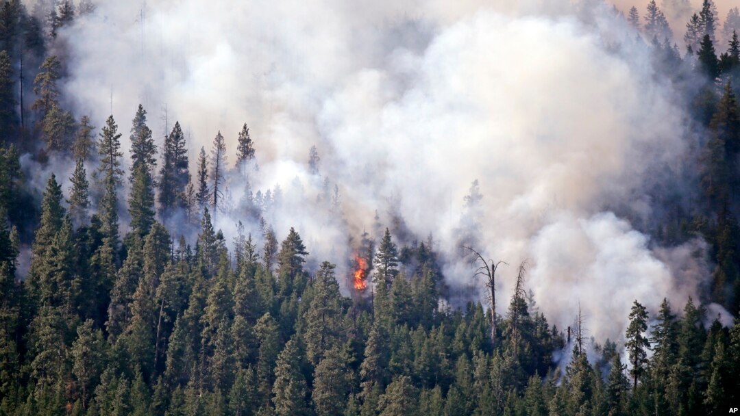 Asap membubung dari kebakaran hutan di bukit di atas Twisp, negara bagian Washington (21/8). (AP/Elaine Thompson)