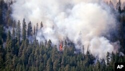 Asap membubung dari kebakaran hutan di bukit di atas Twisp, negara bagian Washington (21/8). (AP/Elaine Thompson)