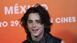 Chalamet es Bob Dylan