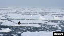 FILE - Environmental activist and campaigner Mya-Rose Craig, 18, holds a cardboard sign reading "youth strike for climate" as she sits on the ice floe in the middle of the Arctic Ocean, hundreds of miles above the Arctic Circle, Sept. 20, 2020.