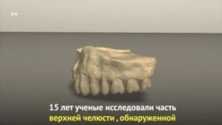 Самая древняя челюсть