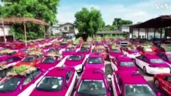 Thai Taxi-Garage Converted Into Vegetable Garden