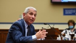 Dr. Anthony Fauci, director of the National Institute for Allergy and Infectious Diseases, speaks during a House Subcommittee on the Coronavirus crisis hearing, July 31, 2020 on Capitol Hill in Washington.