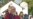 Archbishop of Canterbury to Pray in Zimbabwe