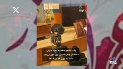 دانشجویی خطاب به سعید جلیلی: دستانتان و هر نفستان، بوی خون می دهد
