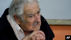 ARCHIVO - El expresidente de Uruguay José "Pepe" Mujica se sienta dentro de un colegio electoral mientras espera para votar en la segunda vuelta de las elecciones presidenciales en Montevideo, Uruguay, el 24 de noviembre de 2024. AP