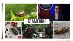 Iz Amerike 65 (12. jun 2021)