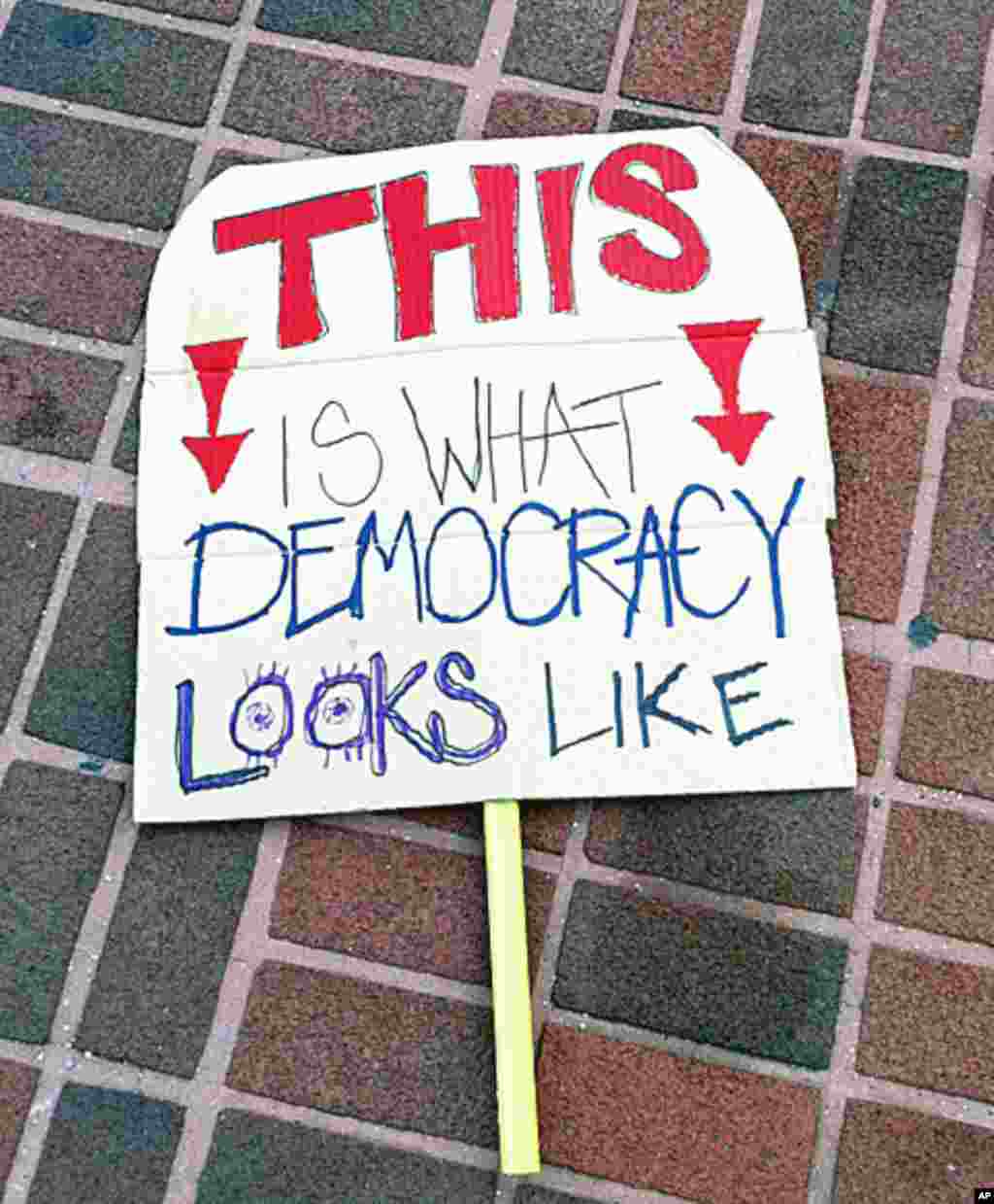 标语“民主就是这样”