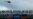 Oracle Octopus Predicts Germany-USA Tie
