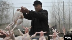 Seorang pedagang Tiongkok menjual ayam potong di provinsi Shandong (foto: dok). Pemerintah AS memrotes pemberlakuan bea masuk yang tinggi bagi ayam Amerika ke Tiongkok.