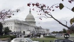 Mike Johnson faces challenge to speakership as 119th Congress begins 