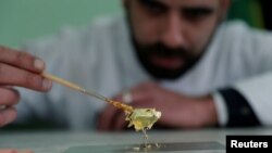 Portuguese chocolatier Daniel Gomes prepares a candy wrapped in pure 23-carat gold during international chocolate fair in Obidos, Portugal, March 16, 2018.