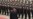China's Xi Asserts Authority Over Party With Bo Verdict
