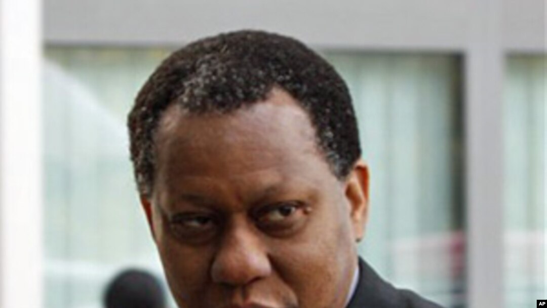 Nigeria's Foreign Minister Odein Ajumogobia (file photo)