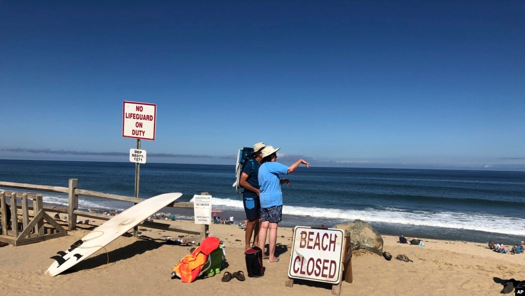 Dua orang mengamati laut setelah ada laporan tentang serangan ikan hiu di Newcomb Hollow Beach, Wellfleet, 15 September 2018.