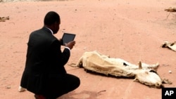 Un agent humanitaire filme la carcasse d'une vache avec un iPad près de la frontière entre le Kenya et la Somalie, le 23 juillet 2011. 