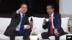 Perdana Menteri Belanda Mark Rutte (kiri) menunjukkan sesuatu saat berbincang dengan Presiden Joko Widodo di Istana Merdeka, Jakarta (23/11). (AP/Dita Alangkara)