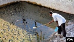 Seorang peneliti mengambil sampel larva nyamuk Malaria di sebuah kolam yang tak terurus di Malindi, Kenya (foto: dok.).