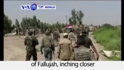 VOA60 World PM - Iraq: Government forces march into the northwestern outskirts of Fallujah