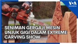 Seniman Gergaji Mesin Unjuk Gigi dalam Extreme Carving Show