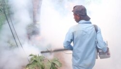Países como Nicaragua han sido impactados por enfemedades provocadas por los mosquitos Aedes Aegypti, lo que ha llevado a jornadas de fumigación para evitar la propagación de males como el dengue, zika y chikungunya. [Foto archivo VOA]