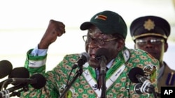 Zimbabwean President Robert Mugabe addresses his supporters at the party's conference in Mutare, east of Harare, 17 Dec 2010