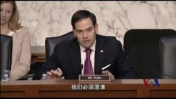 美国会听证中国人权 鲁比奥：针对中国政府