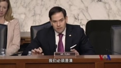 美国会听证中国人权 鲁比奥:针对中国政府
