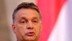 Civil Society Intimidation In Hungary