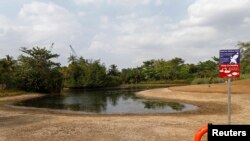 Kolam dan rumput kering di Taman Botani Singapura (26/2). 