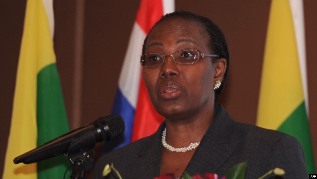 Dr. Fatoumata Nafo-Traore speaks during the opening ceremony of the meeting on efforts to prevent and control malaria at Thai-Burma Border in Kanchanaburi province, October 27, 2012.