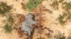 Botswana Investigates Mystery Deaths of At Least 275 Elephants 