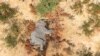 Botswana Probes Mysterious Elephant Deaths 