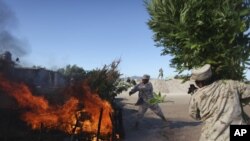 Son constantes las operaciones de las autoridades contra los cultivadores de marihuana en el estado central de Jalisco.