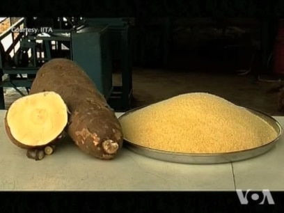 Vitamin A-enhanced Cassava Fights Malnutrition