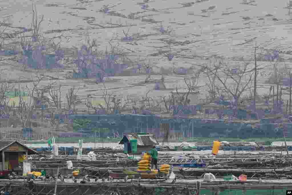 A man feeds fish in front of a hill coated with layers of ash from the Taal volcano in the town Agoncillo, Batangas province, Philippines. Thousands of people were being evacuated from villages around a rumbling volcano near the Philippine capital.