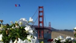 Warung VOA: Cerita dari San Francisco (1)