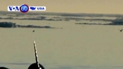 Mişarburun balinalar məhv ola bilər ~ Florida Respublikaçıların qurultayına hazırlaşır