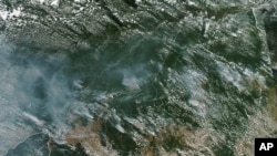 Cette image satellite fournie par la NASA le 13 août 2019 montre plusieurs incendies dans la forêt amazonienne brésilienne.