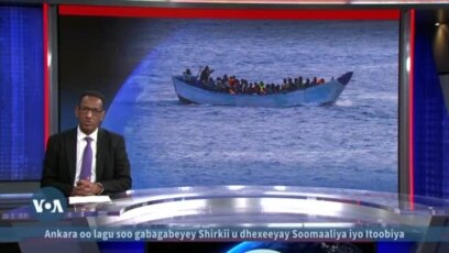 Muhaajiriin lagu la’yahay xeebaha Italy 