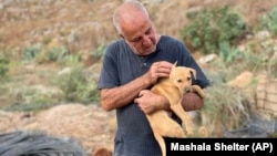 In this photo provided by Mashala Shelter, Hussein Hamza carries a puppy at his animal shelter in Kfour, south Lebanon in 2024. (Mashala Shelter via AP)