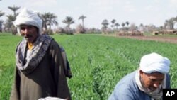 امریکايي پوهنتون افغان بزګرانو ته ښوونه کوي