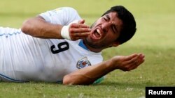 Uruguay's Luis Suarez reacts after clashing with Italy's Giorgio Chiellini during their 2014 World Cup Group D soccer match at the Dunas arena in Natal, June 24, 2014. 